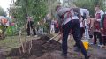 Участники конкурса «Учитель года России» высадили сирень в белгородской гимназии №22