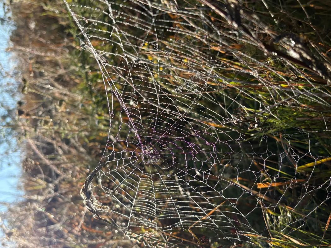 Красота в каждом кадре Красота в каждом кадре