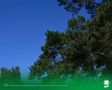 16 сентября. Температура воздуха 17°C, переменная облачность, кратковременные дожди