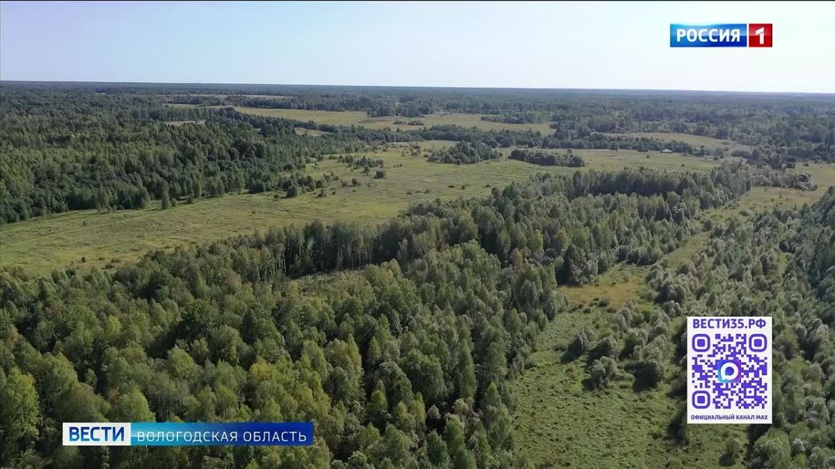 Лучших специалистов лесной отрасли наградили в Вологодской области