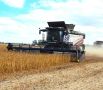На полях Губкинского округа полным ходом идут осенние работы