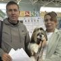 Усы, лапы и хвост – вот их документы