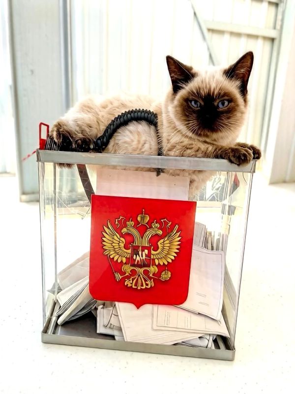 Три дня голосования пролетели как один яркий, насыщенный событиями марафон Три дня голосования пролетели как один яркий, насыщенный событиями марафон