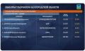 Обработано почти 30% протоколов УИК: Александр Шуваев набирает 155 831 голос