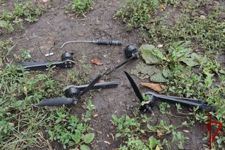 Росгвардейцы спасли людей и сбили вражеский дрон в Грайворонском округе Росгвардейцы спасли людей и сбили вражеский дрон в Грайворонском округе