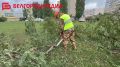 В Белгороде устраняют последствия вчерашней непогоды