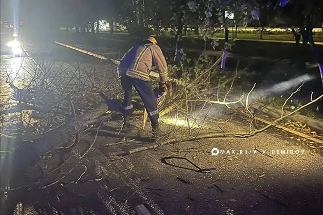В Белгороде устраняют последствия сильного ветра В Белгороде устраняют последствия сильного ветра