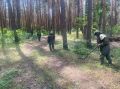 В сентябре «БАРС–Белгород» обезвредил 198 взрывоопасных предметов