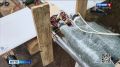 «Наше подразделение работает с внешней стороны Волчанского котла