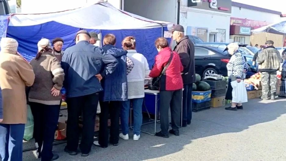 Андрей Миськов: В Новом Осколе вновь успешно прошла еженедельная сельскохозяйственная ярмарка Андрей Миськов: В Новом Осколе вновь успешно прошла еженедельная сельскохозяйственная ярмарка
