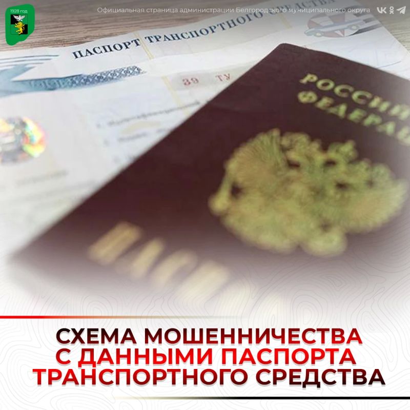 Мошенники разработали новую схему с использованием данных паспорта транспортного средства