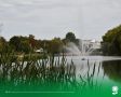 26 ��������. ����������� ������� 18�C, ���������� ����������, ��������������� �����