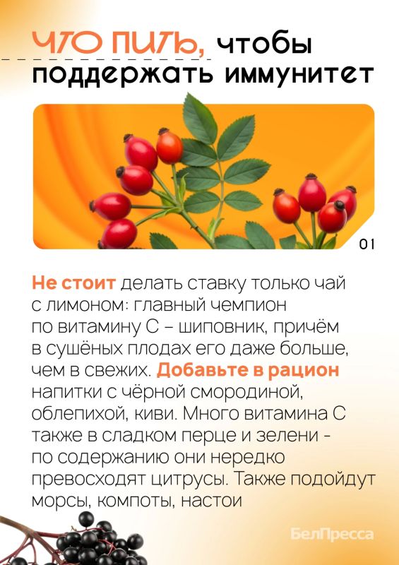 Готовы спорить, что многие из вас уже перенесли сезонную ОРВИ Готовы спорить, что многие из вас уже перенесли сезонную ОРВИ