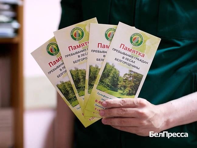 «Пожар – это самое страшное, что может случиться в лесу «Пожар – это самое страшное, что может случиться в лесу
