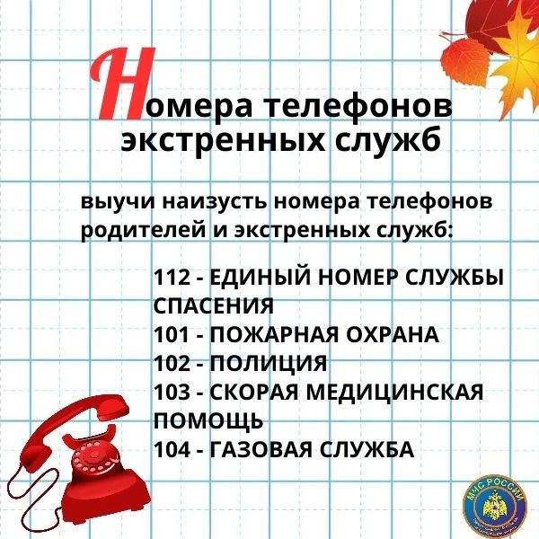 Правила безопасности для школьников Правила безопасности для школьников