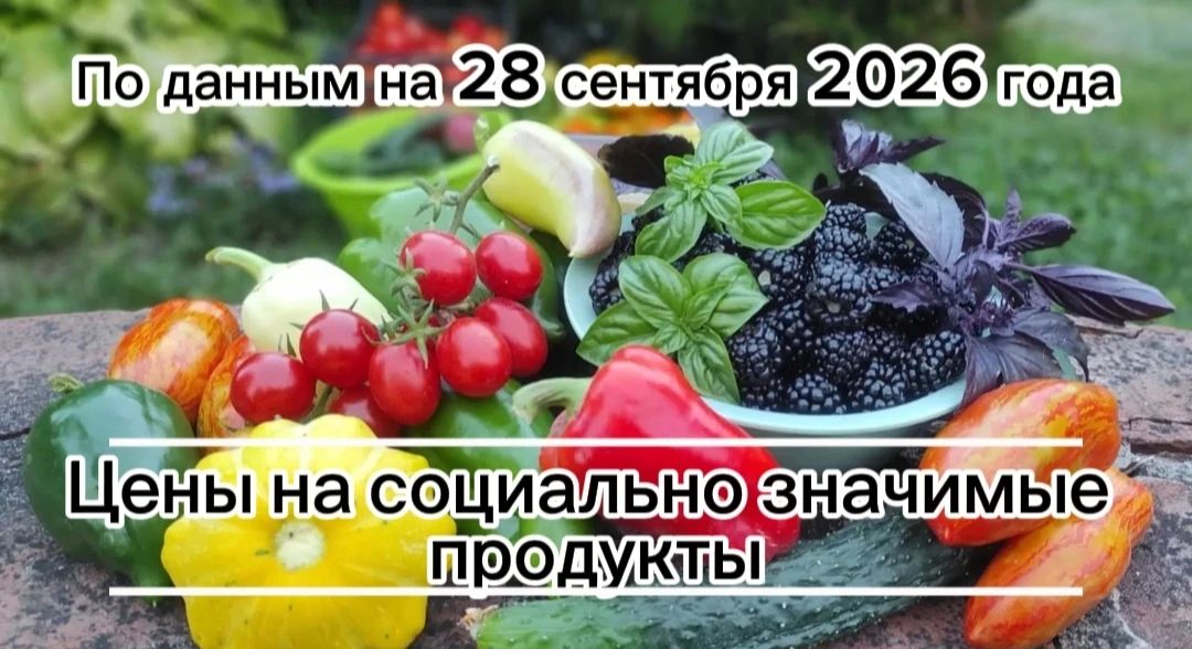 Владимир Переверзев: Где дешевле всего купить необходимые продукты в посёлке Борисовка