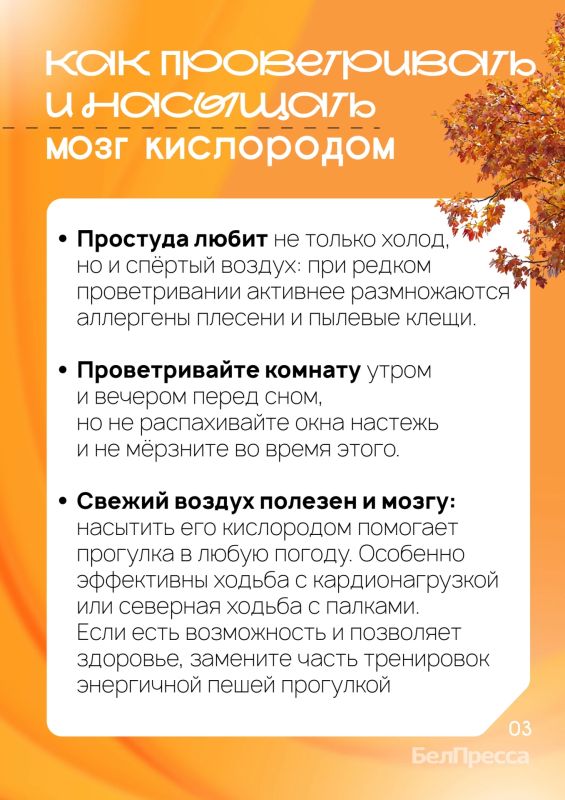 Готовы спорить, что многие из вас уже перенесли сезонную ОРВИ Готовы спорить, что многие из вас уже перенесли сезонную ОРВИ