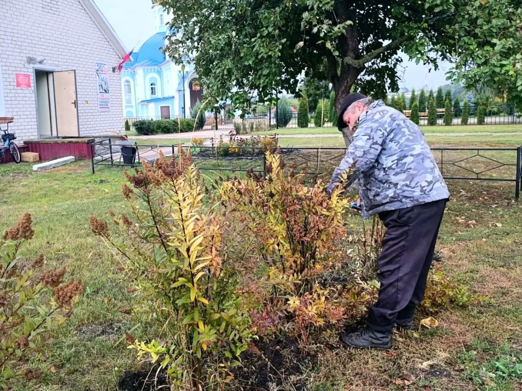 Осень - время заботы о нашей общей земле Осень - время заботы о нашей общей земле