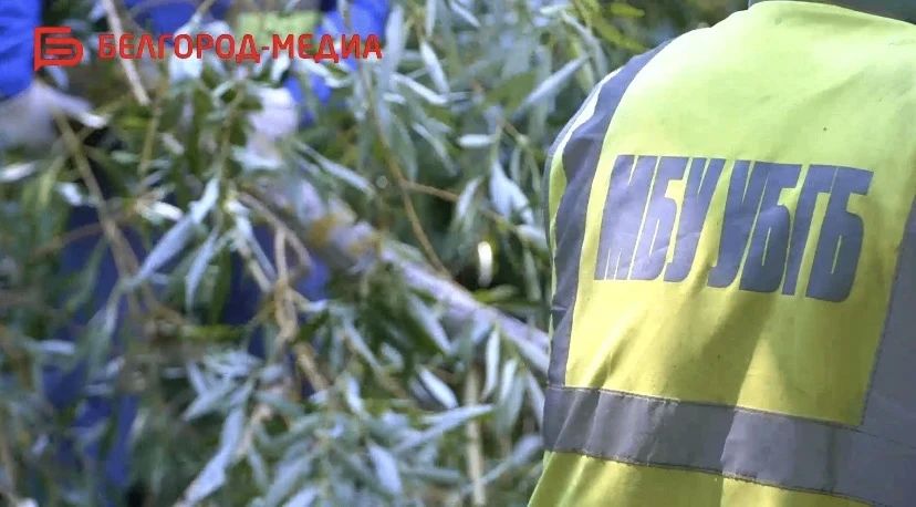 Валентин Демидов: «Срывов задач по срокам уборки, покоса и другим нет»