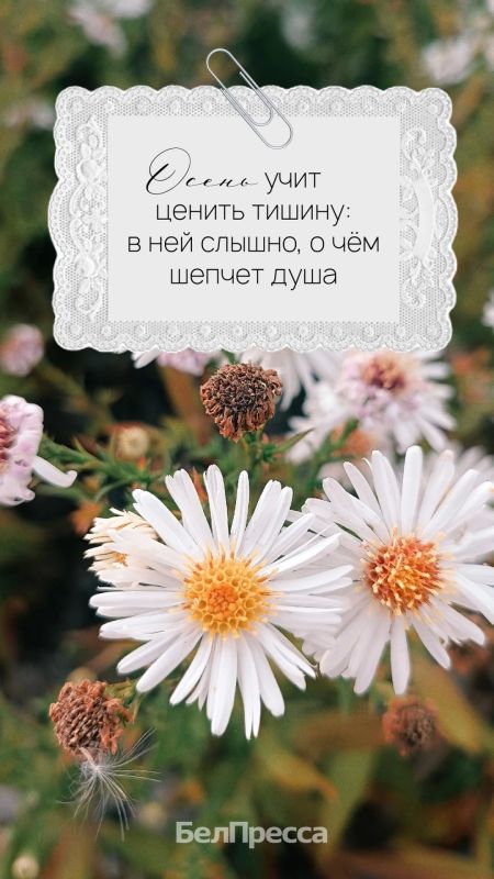 Осень – не про спешку. Это про паузы, про тёплые моменты, про то, как красиво умеет затихать мир
