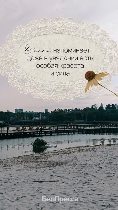 Осень – не про спешку. Это про паузы, про тёплые моменты, про то, как красиво умеет затихать мир Осень – не про спешку. Это про паузы, про тёплые моменты, про то, как красиво умеет затихать мир