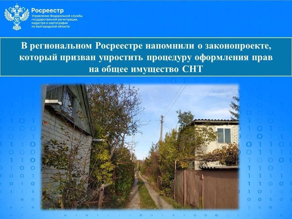 В региональном Росреестре напомнили о законопроекте, который призван упростить процедуру оформления прав на общее имущество СНТ