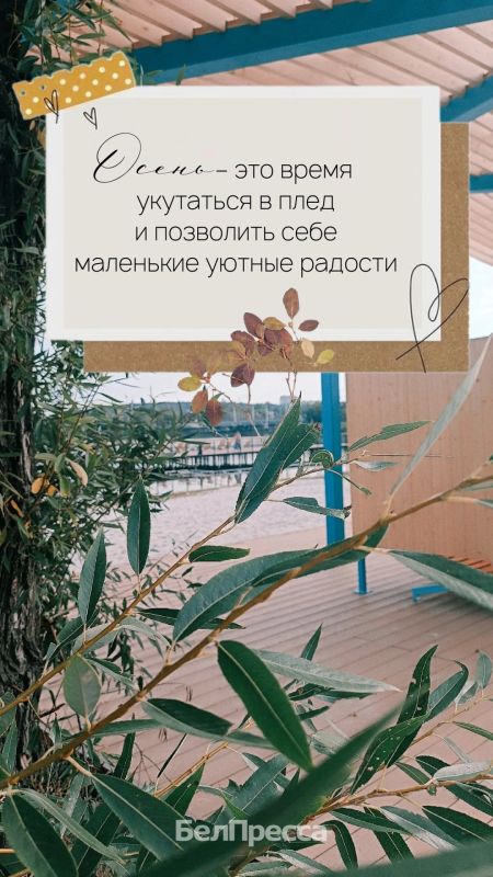 Осень – не про спешку. Это про паузы, про тёплые моменты, про то, как красиво умеет затихать мир Осень – не про спешку. Это про паузы, про тёплые моменты, про то, как красиво умеет затихать мир