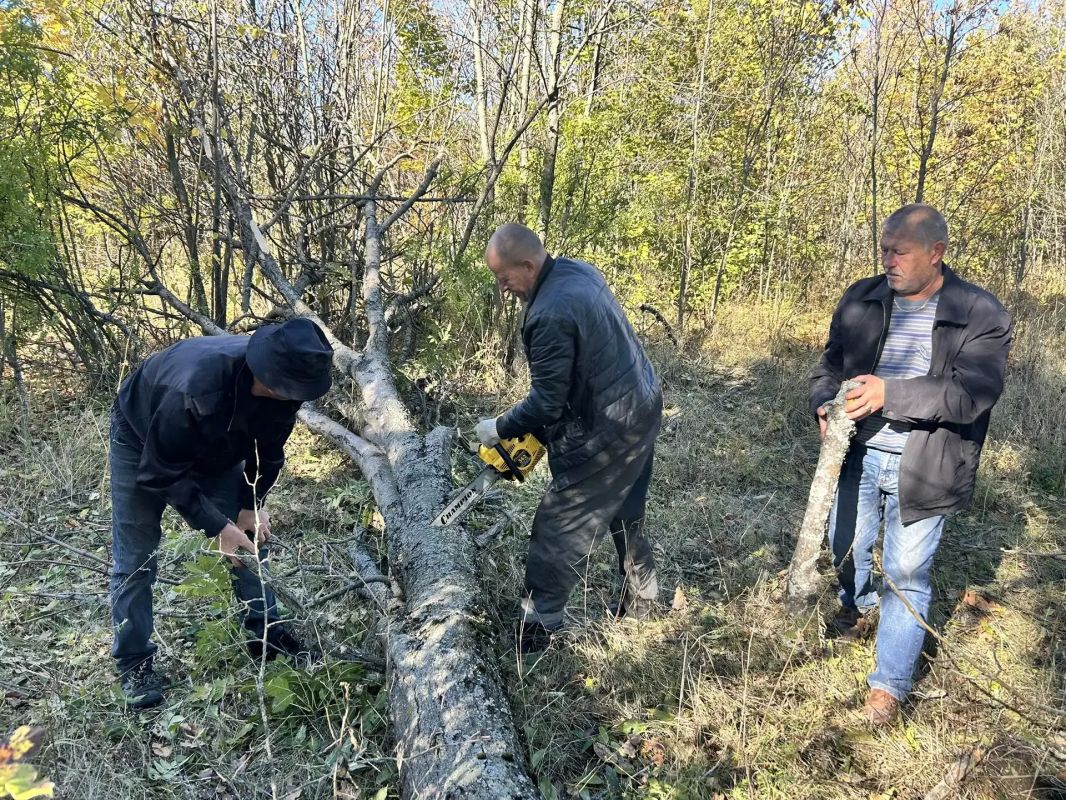 Владимир Переверзев: С 1 октября в Белгородской области дан старт осеннему этапу месячника добровольного служения Владимир Переверзев: С 1 октября в Белгородской области дан старт осеннему этапу месячника добровольного служения
