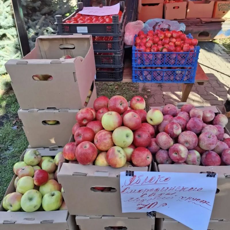 Татьяна Круглякова: За свежими продуктами по честным ценам — на нашу традиционную ярмарку выходного дня Татьяна Круглякова: За свежими продуктами по честным ценам — на нашу традиционную ярмарку выходного дня