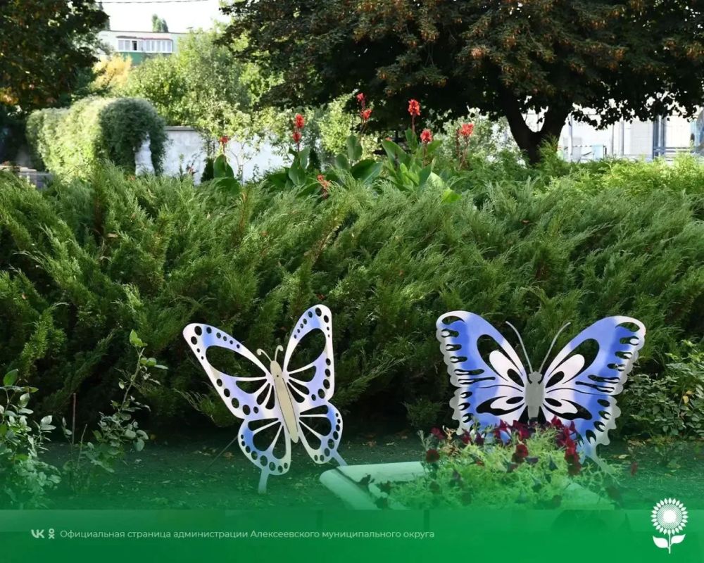 4 октября. Температура воздуха 15°C, переменная облачность, без осадков