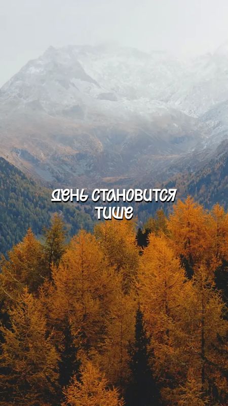 Небольшое напоминание: даже в пасмурные дни есть место маленьким радостям! Небольшое напоминание: даже в пасмурные дни есть место маленьким радостям!