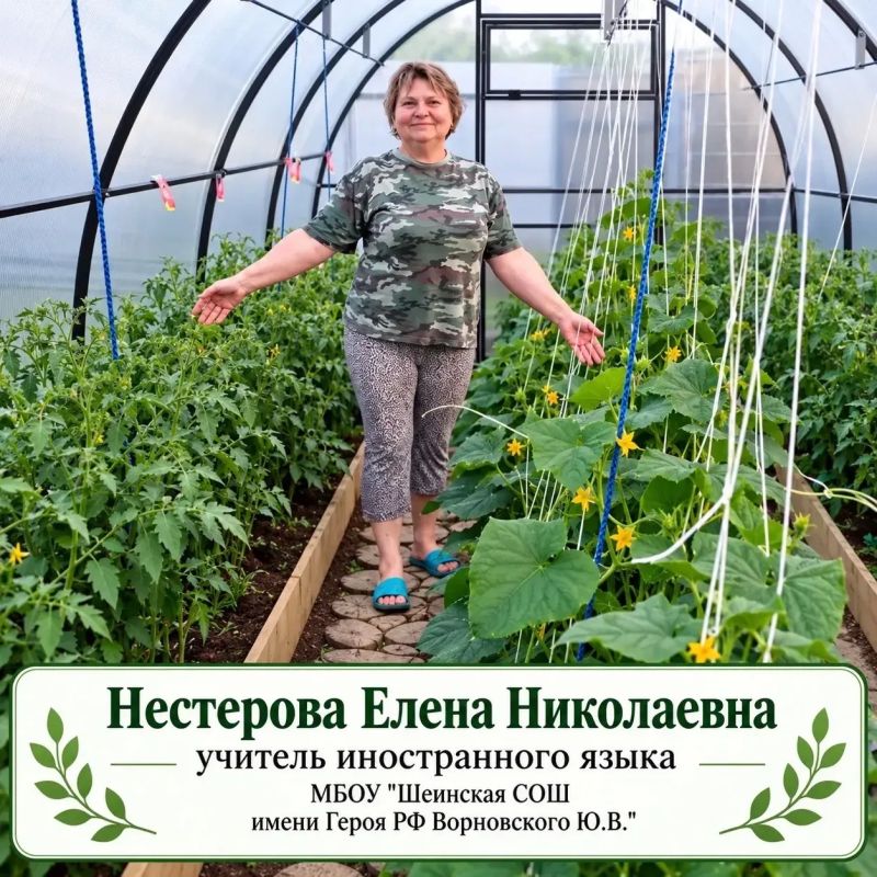 Мы привыкли видеть учителей у доски, с мелом в руке и стопкой тетрадей под мышкой Мы привыкли видеть учителей у доски, с мелом в руке и стопкой тетрадей под мышкой