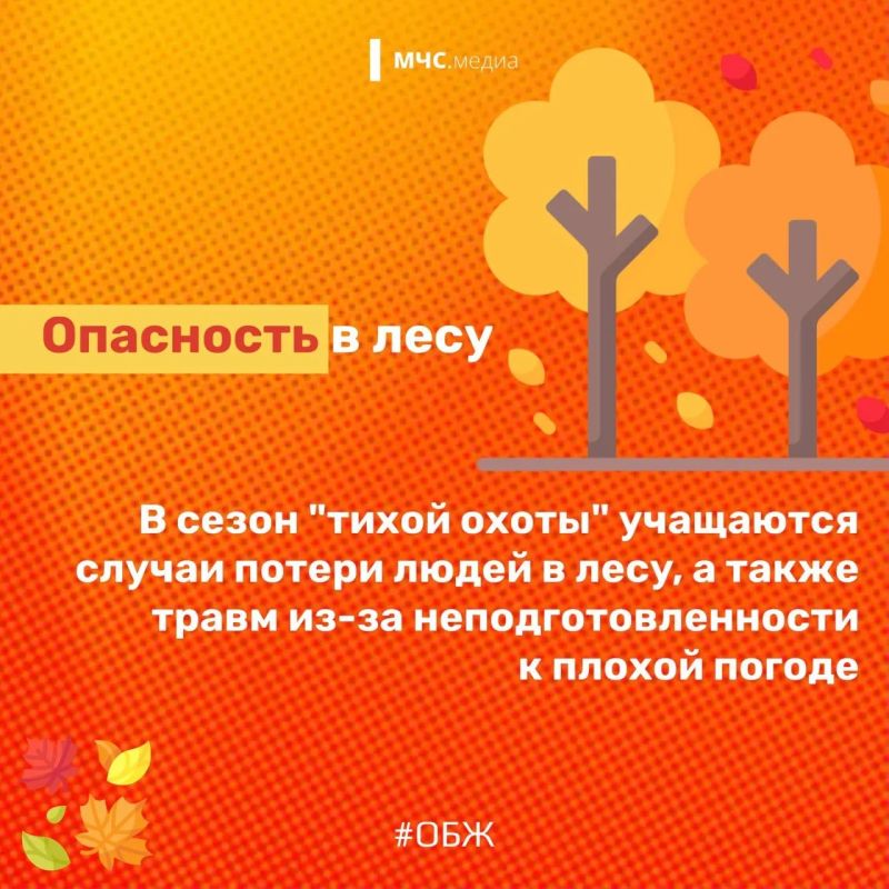 Осень – самая живописная и красивая пора года Осень – самая живописная и красивая пора года