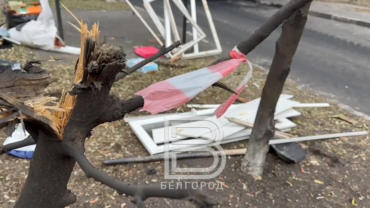 Воронка от взрыва, истерзанные фасады МКД, битое стекло, сломанные деревья и живые розы на земле Так выглядит место ЧП в Белгороде, куда вечером в субботу пришлись удары вражеских дронов