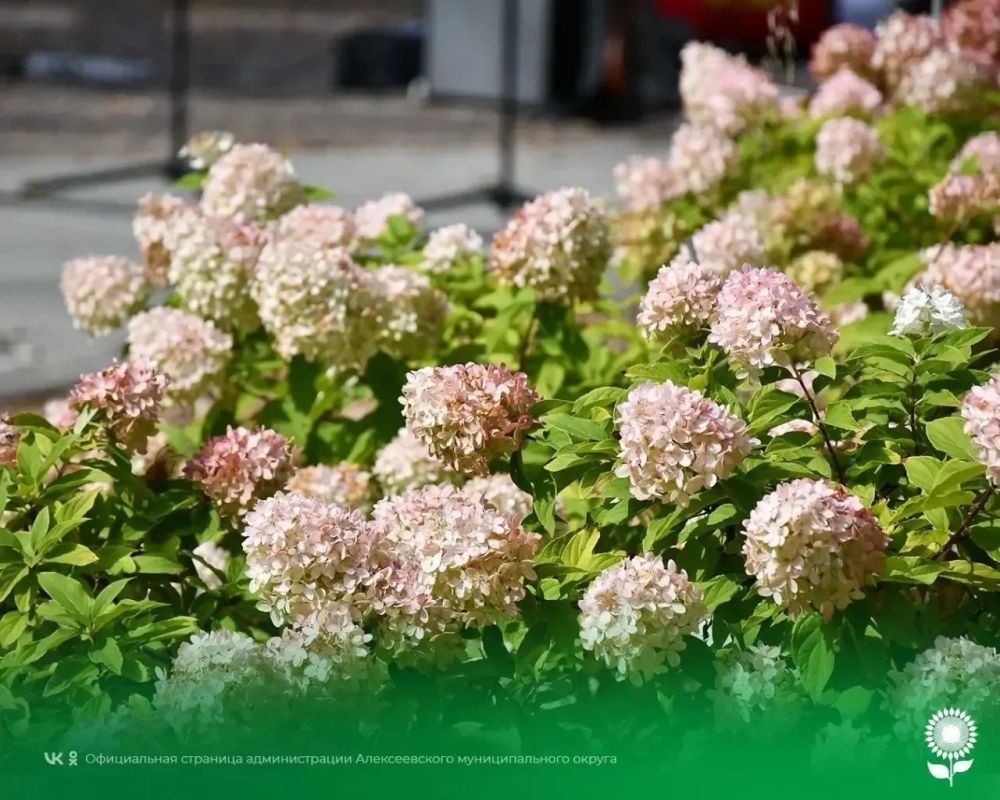 6 октября. Температура воздуха 10°C, переменная облачность, кратковременные дожди