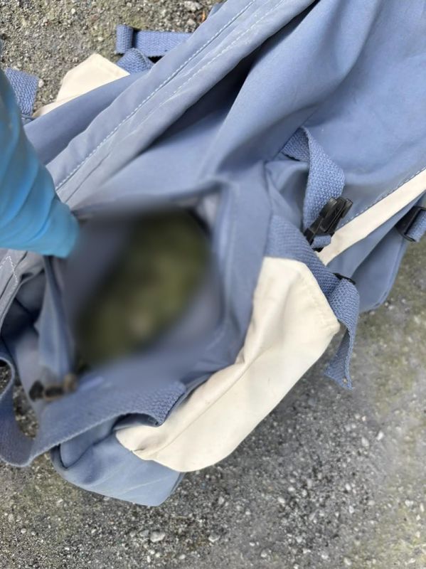 В Алексеевском округе полицейские задержали подозреваемого в незаконном хранении наркотиков