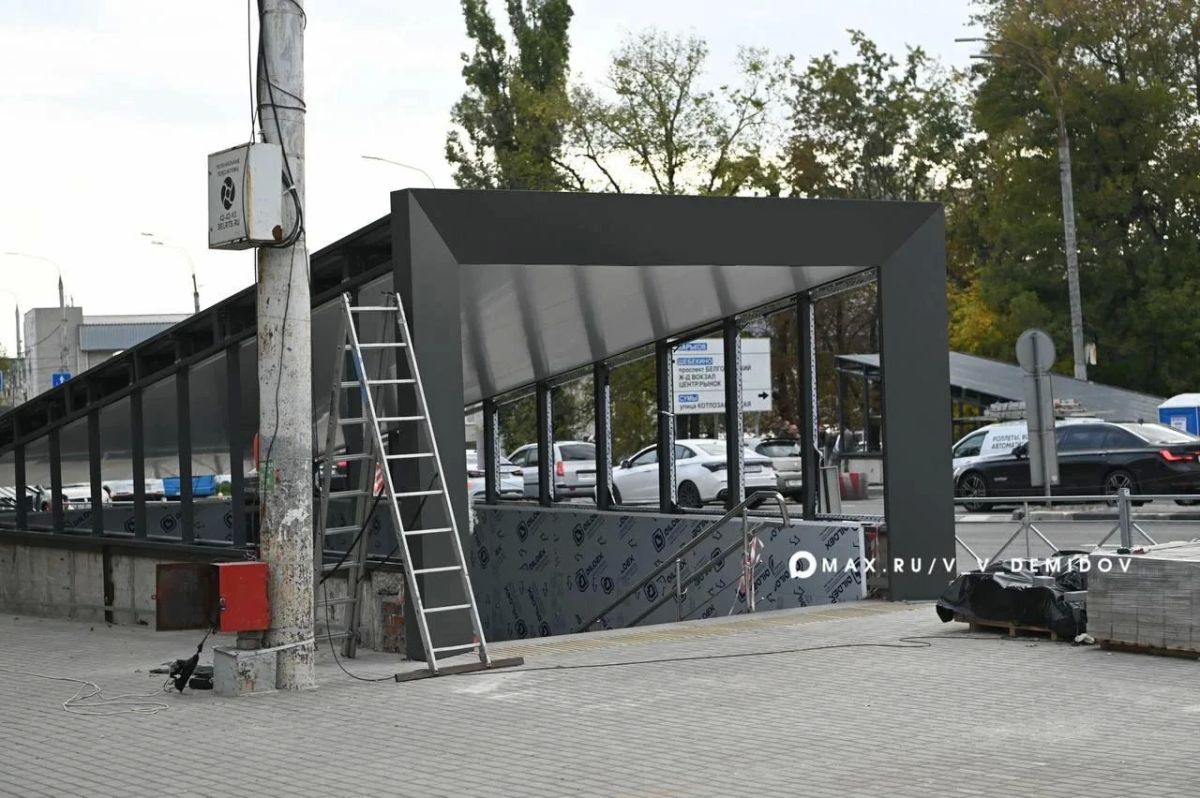 Дизайн перехода «Энергомаш» объединил парк Ленина и завод Дизайн перехода «Энергомаш» объединил парк Ленина и завод
