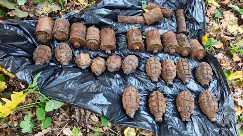 25 боеприпасов времён Великой Отечественной войны обезвредили взрывотехники МЧС