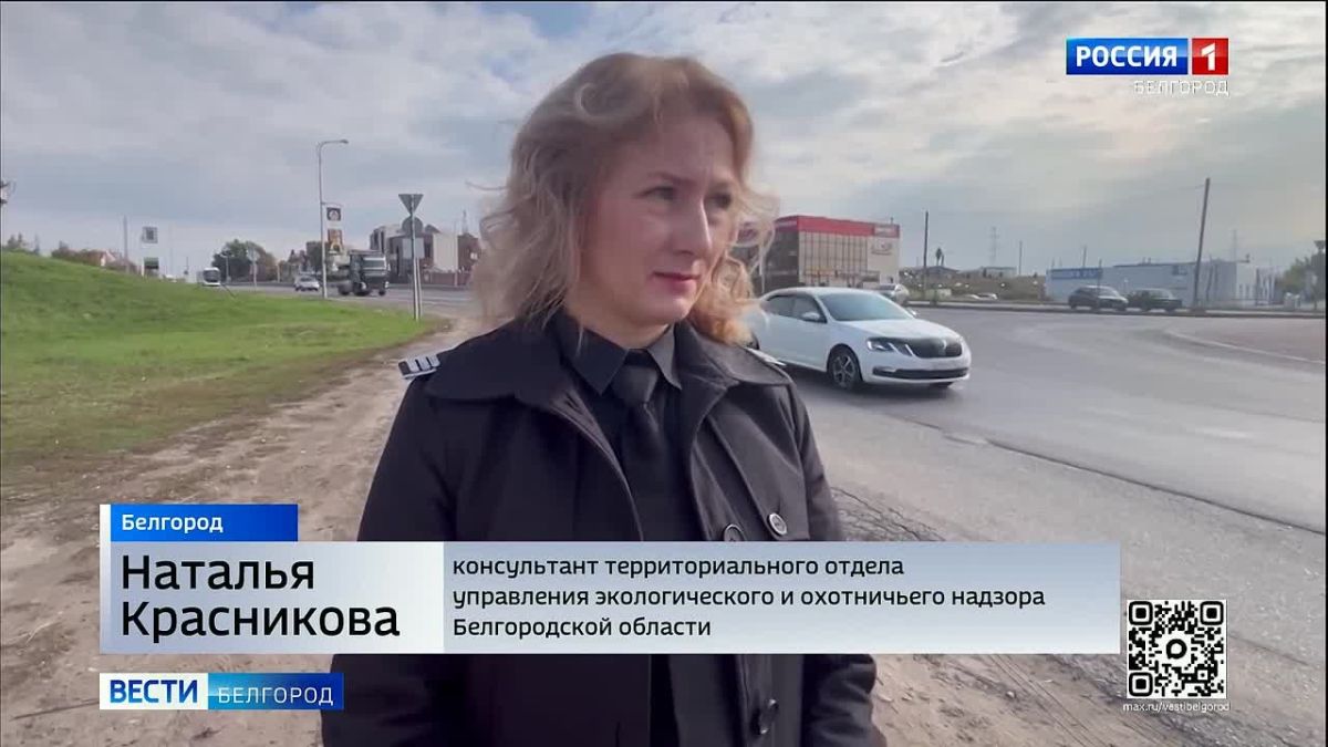 Дважды в год инспекторы Экоохотнадзора вместе с сотрудниками полиции проводят в Белгороде профилактические рейды «Чистый город»