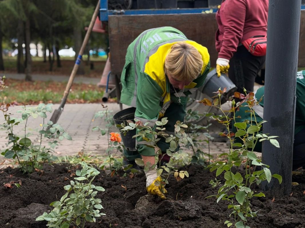 В парке «Южный» в Белгороде появится большой розарий В парке «Южный» в Белгороде появится большой розарий