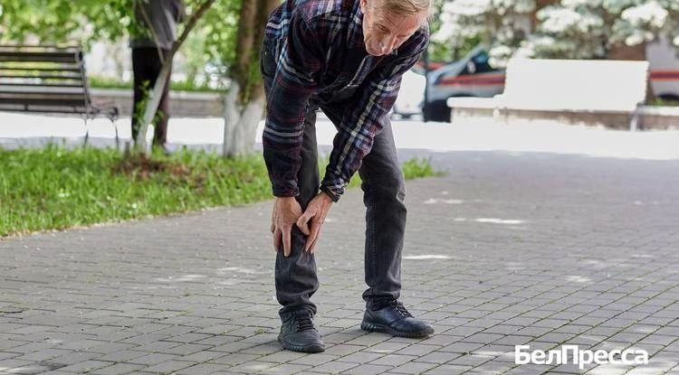 Умеренные нагрузки и сбалансированный рацион