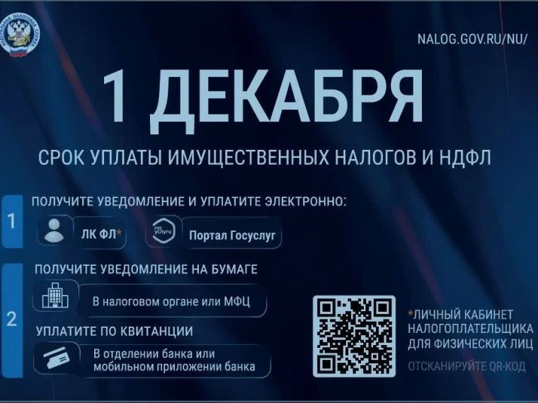 В Белгородской области идёт рассылка сводных налоговых уведомлений на уплату имущественных налогов и НДФЛ за 2025 год В Белгородской области идёт рассылка сводных налоговых уведомлений на уплату имущественных налогов и НДФЛ за 2025 год