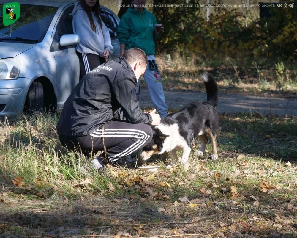 В Белгородском муниципальном округе прошёл субботник В Белгородском муниципальном округе прошёл субботник