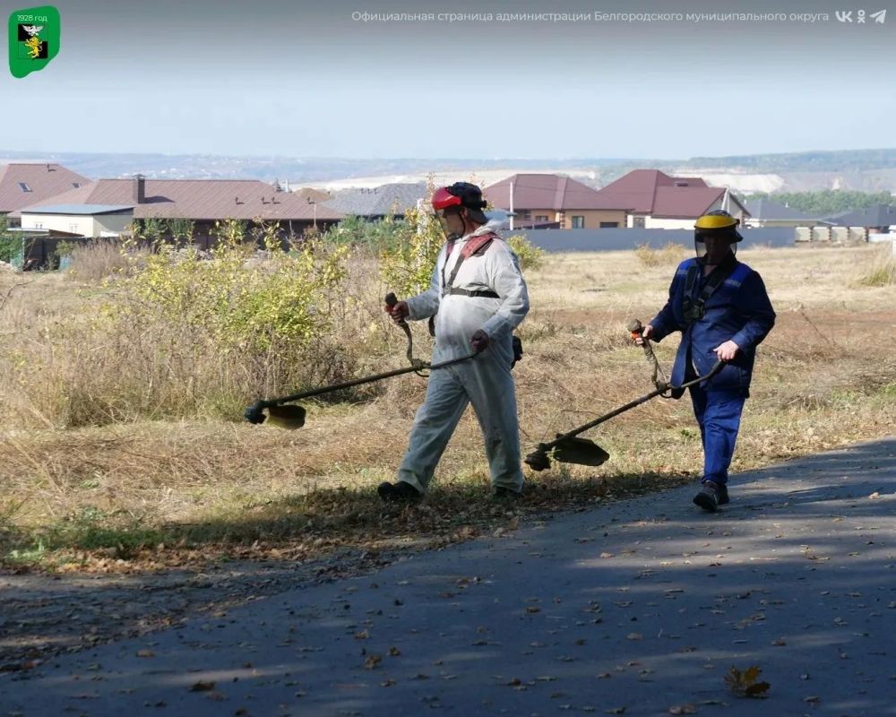 В Белгородском муниципальном округе прошёл субботник В Белгородском муниципальном округе прошёл субботник