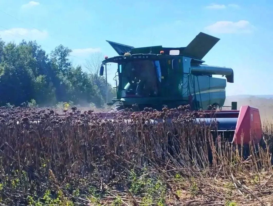 В Новооскольском округе продолжается активная осенняя полевая кампания