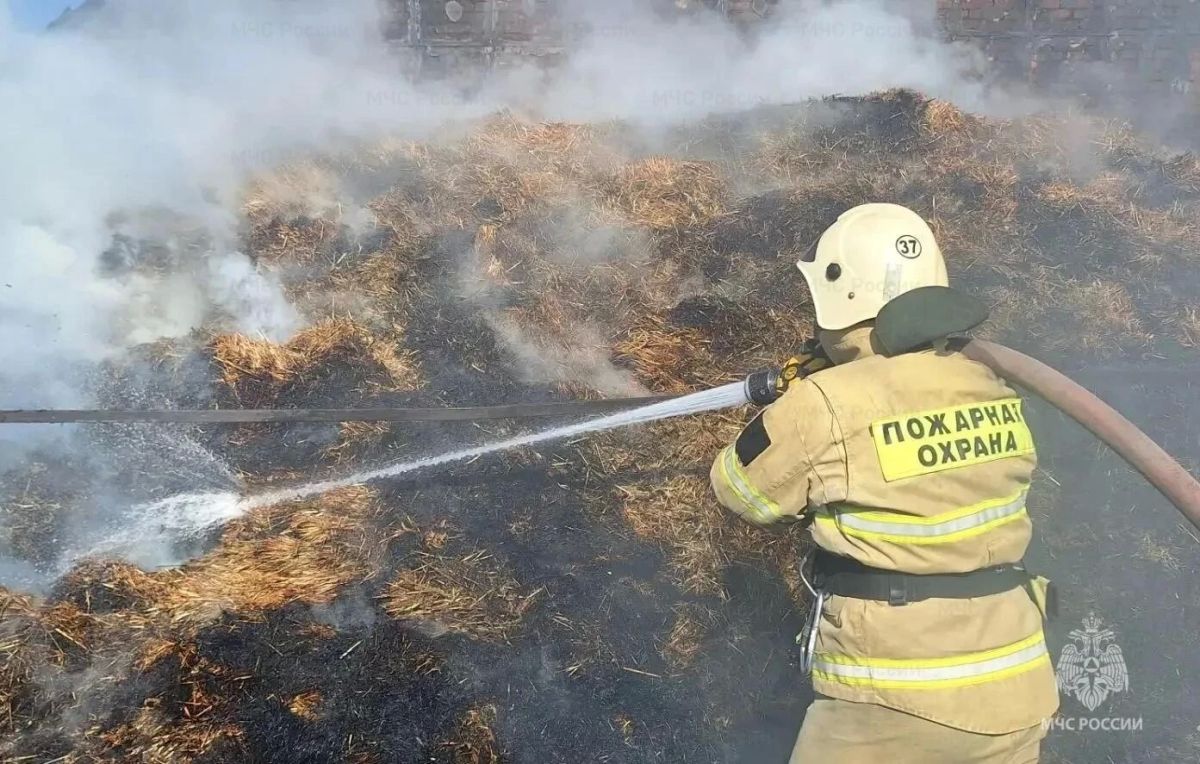 За прошедшую неделю:. На территории региона зарегистрировано 27 пожаров, 6 из которых произошли в жилье За прошедшую неделю:. На территории региона зарегистрировано 27 пожаров, 6 из которых произошли в жилье
