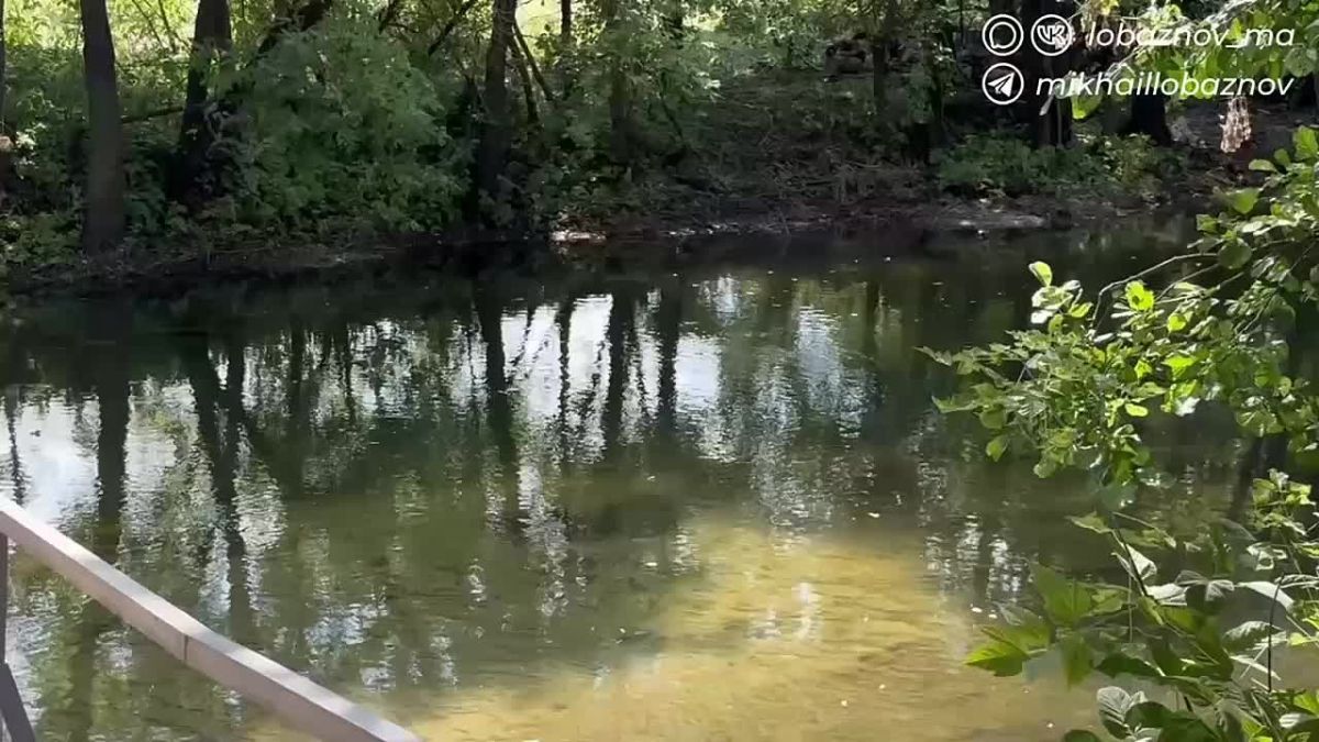 Сохраняем природное богатство
