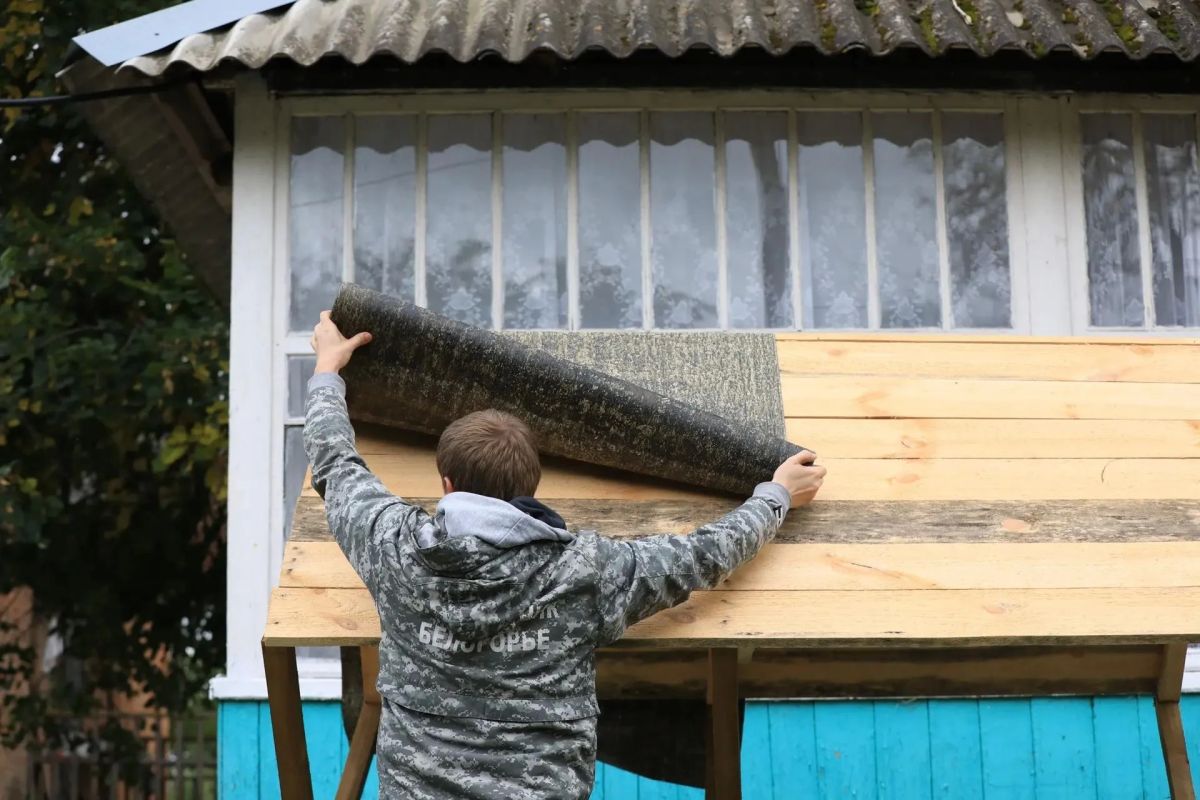 Владимир Переверзев: Тепло наших рук: Как волонтеры ОМК «Энергомаш» превращают уникальный «Лес на Ворскле» в дом для зимующих обитателей Владимир Переверзев: Тепло наших рук: Как волонтеры ОМК «Энергомаш» превращают уникальный «Лес на Ворскле» в дом для зимующих обитателей
