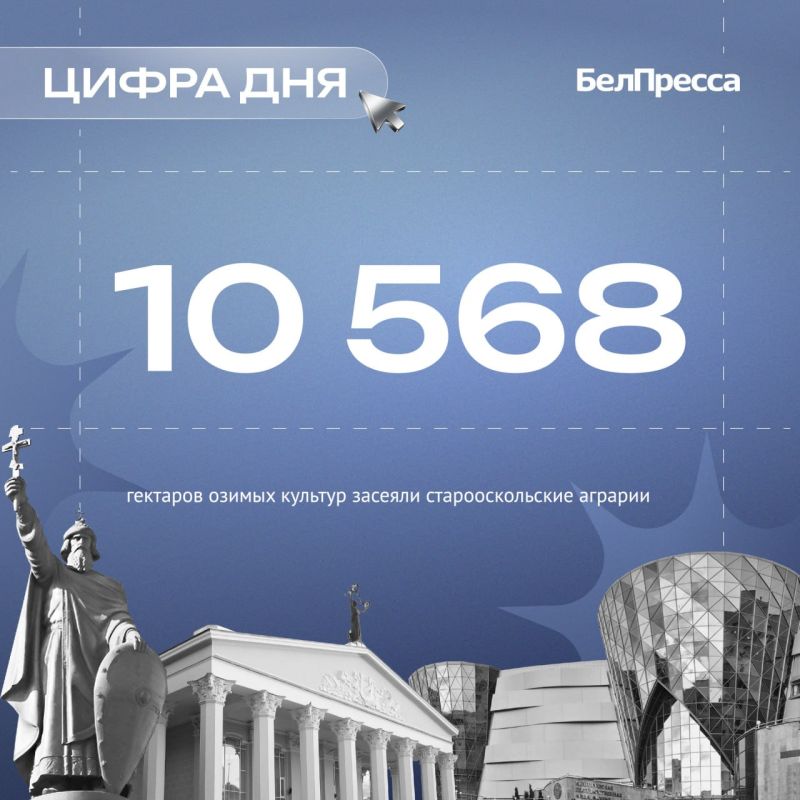 Под будущий урожай специалисты обработали 13 198 га почвы и внесли 517 тыс