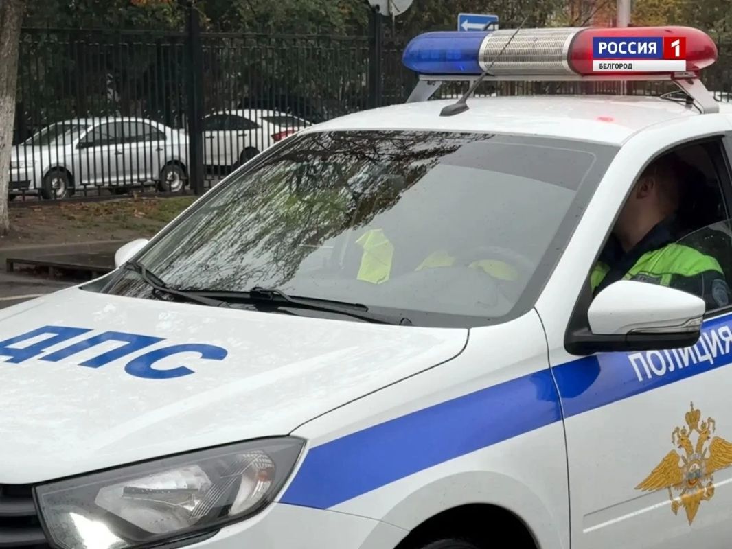 В Белгороде за девять месяцев 2026-го случилось 13 ДТП с участием детей до 16 лет 14 ребят получили ранения. Если сравнивать с прошлым годом, цифры выросли. При этом, количество аварий, когда юные пешеходы попадали под... В Белгороде за девять месяцев 2026-го случилось 13 ДТП с участием детей до 16 лет 14 ребят получили ранения. Если сравнивать с прошлым годом, цифры выросли. При этом, количество аварий, когда юные пешеходы попадали под...